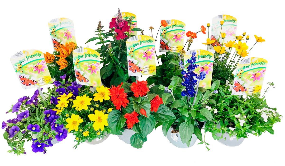 Gartenbau-Bruex_Bee-Friendly_T13